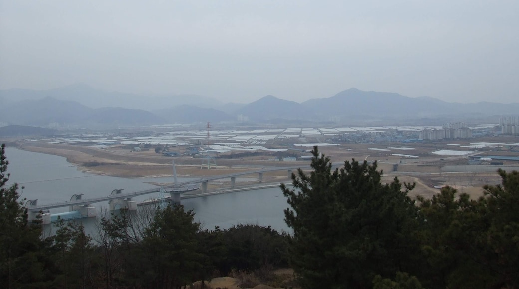 Foto ‘Dalseong-gun’ van 한들 (CC BY) / bijgesneden versie van origineel