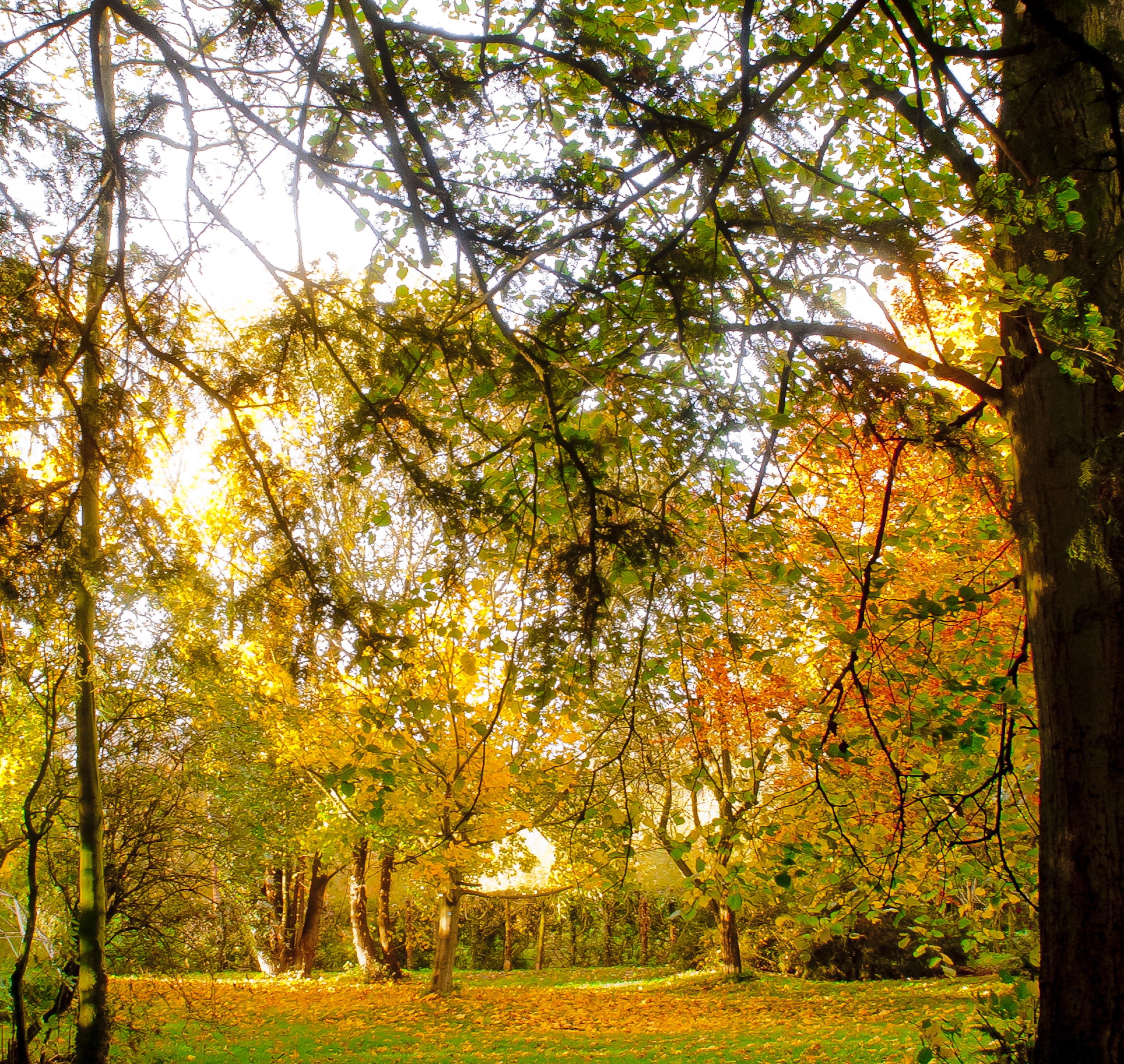 Photo "Langton" by Thomas Tolkien (CC BY) / Cropped from original