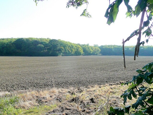 Billede "Aston Somerville" af Jonathan Billinger (CC BY-SA) / beskåret fra det originale billede