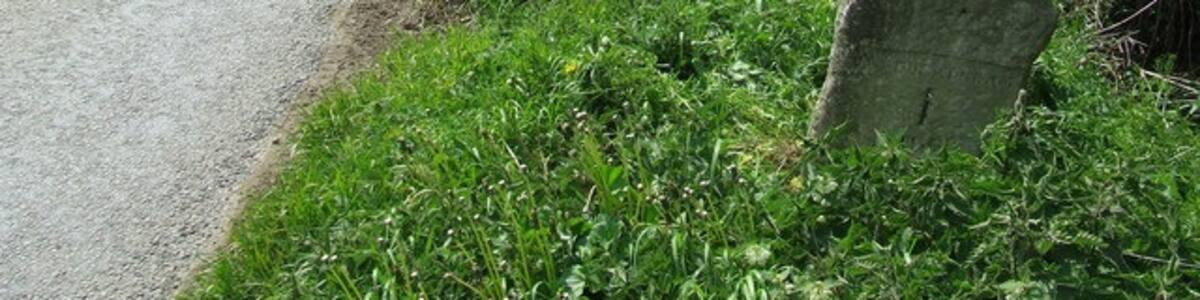 Photo "To New Buckenham 1. Old milestone near to Hargate, Norfolk on the B.1113. For close up view see 1281113 for more info on the post see http://www.milestonesweb.com/sites/tm109912.htm do have a look at their home page." by Keith Evans (Creative Commons Attribution-Share Alike 2.0) / Cropped from original