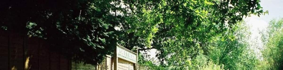 Photo "Ashley Heath: old railway platform This former railway line is now a pleasant forest walk from West Moors to Ringwood." by Chris Downer (Creative Commons Attribution-Share Alike 2.0) / Cropped from original