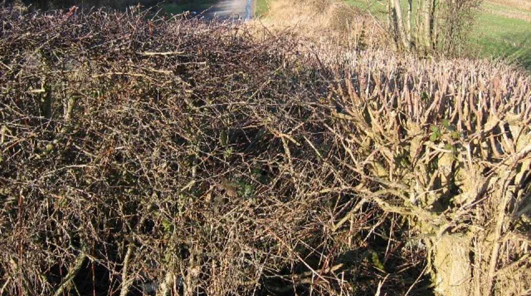 Foto "Wetwang" de Stephen Horncastle (CC BY-SA) / Recortada de la original