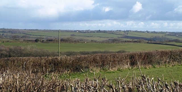 Farm road to Halsdon Barton A distant view of the ridgetop road that links the farm to the road from which the photo was taken, from Anvil Corner to Holsworthy Beacon. It is seen across a shallow tributary valley of the Waldon, and across a hedge top.