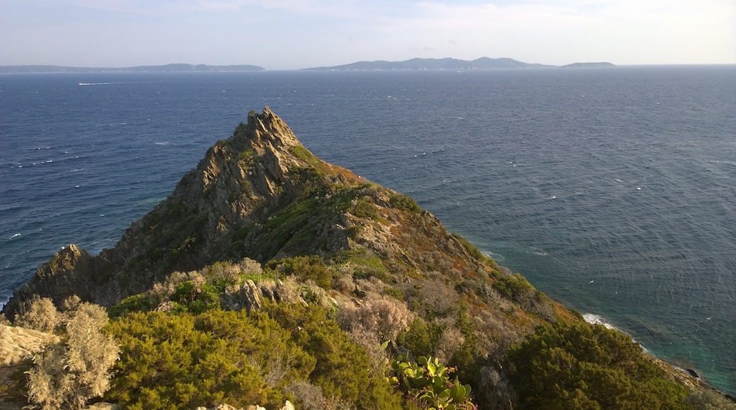 Photo "Cap Benat" by 4net (CC BY) / Cropped from original