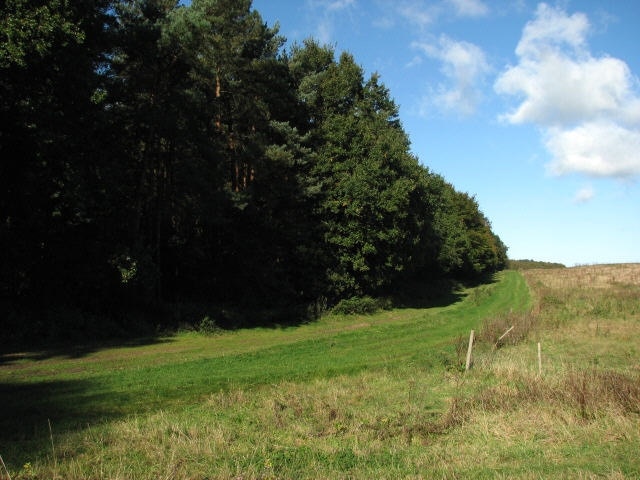 Ảnh "Ringland" của Evelyn Simak (CC BY-SA) / Cắt từ ảnh gốc