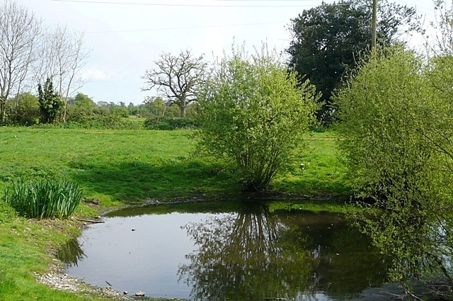 Turmer Pond An artificial pond, probably originally a dew pond, in the centre of the hamlet.