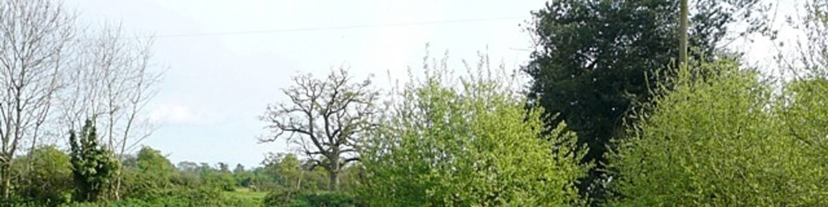 Photo "Turmer Pond An artificial pond, probably originally a dew pond, in the centre of the hamlet." by Graham Horn (Creative Commons Attribution-Share Alike 2.0) / Cropped from original