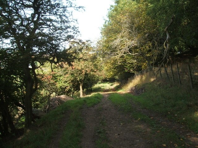 "Cassop-cum-Quarrington"-foto av GRAEME and LESLEY CRANSTON (CC BY-SA) / Urklipp från original