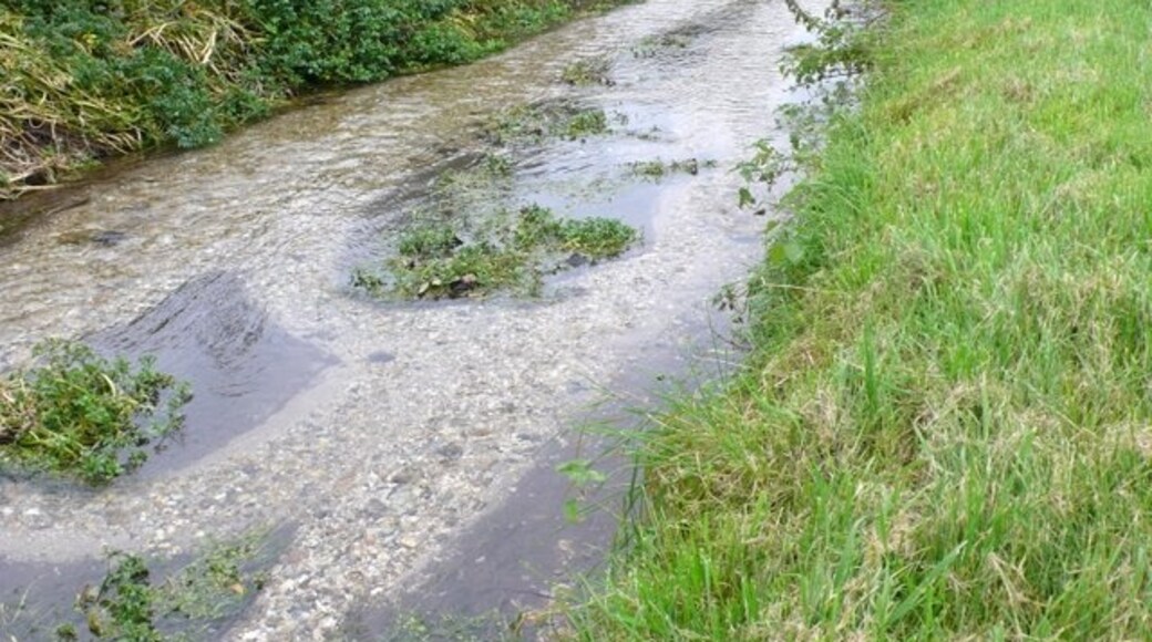 "Winterbourne Steepleton"-foto av Nigel Mykura (CC BY-SA) / Urklipp från original