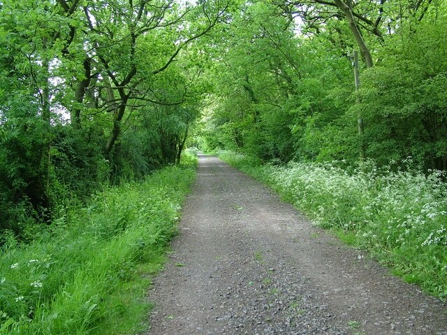 Kuva ”Princethorpe CP” käyttäjältä James Cobbett (CC BY-SA) / rajattu alkuperäisestä kuvasta