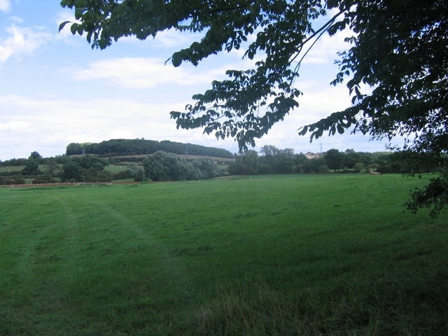 Grassy Field. Looking across fields near Derrington, across the M6 ,which is this side of the pylon line to Stafford Castle, just poking above the trees.