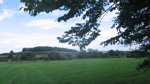 Photo "Derrington" by Andy Spenceley (CC BY-SA) / Cropped from original