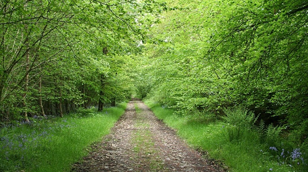 "Churchstanton"-foto av Martin Bodman (CC BY-SA) / Urklipp från original