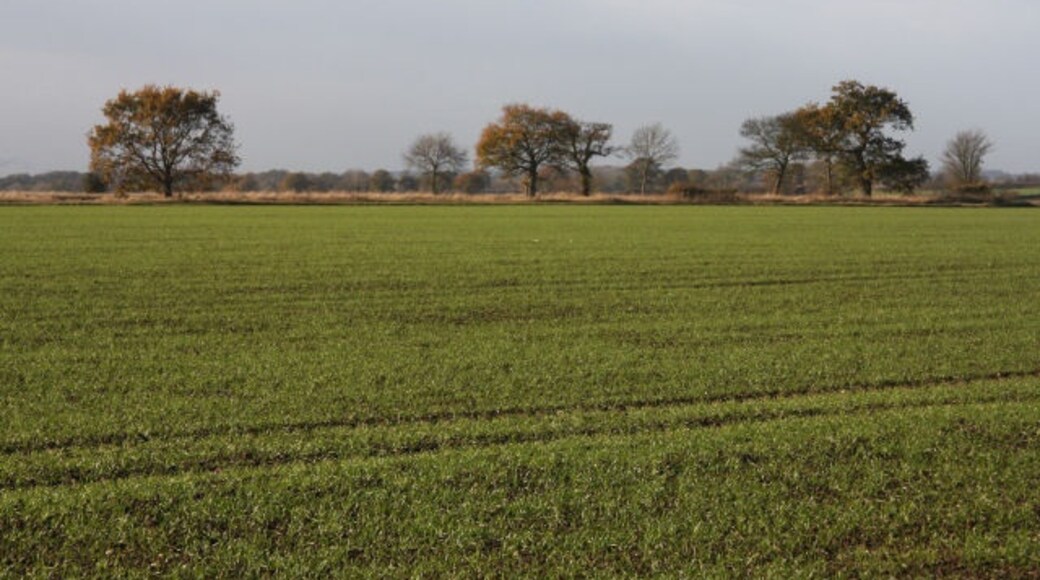 Foto "Hunston" de Bob Jones (CC BY-SA) / Recortada do original