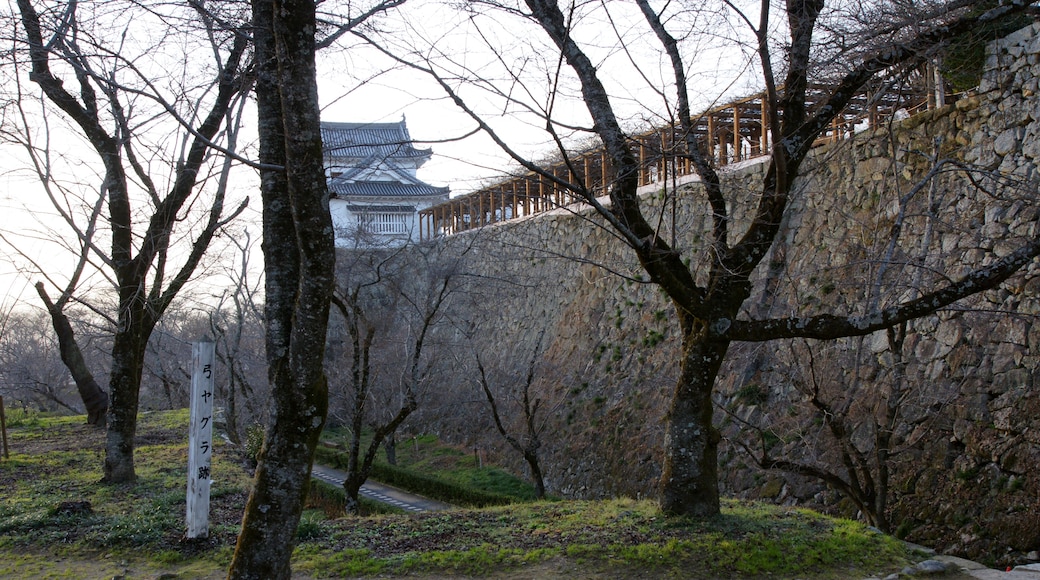 Photo "Tsuyama Castle" by 663highland (CC BY) / Cropped from original