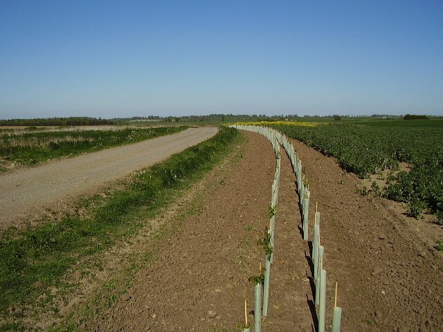 Foto "Rowston" por Ken Brockway (CC BY-SA) / Recortada de la original