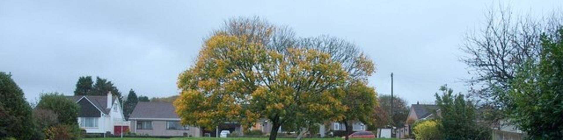 Open space, Southway A small park between Southway Drive and Southway Lane (in the background).