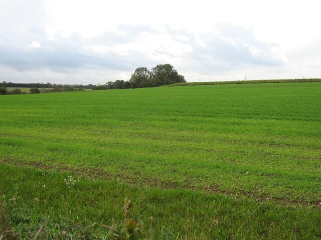 Foto „Brandon Parva“ von Roger Gilbertson (CC BY-SA)/zugeschnittenes Original