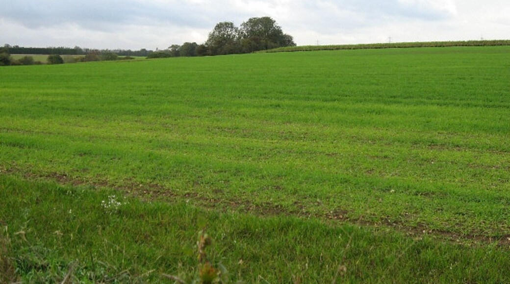 Kuva ”Brandon Parva” käyttäjältä Roger Gilbertson (CC BY-SA) / rajattu alkuperäisestä kuvasta