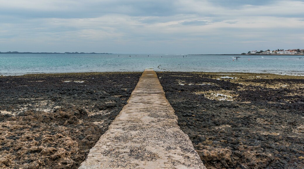 Photo "Playa Waikiki" by Bengt Nyman (CC BY) / Cropped from original