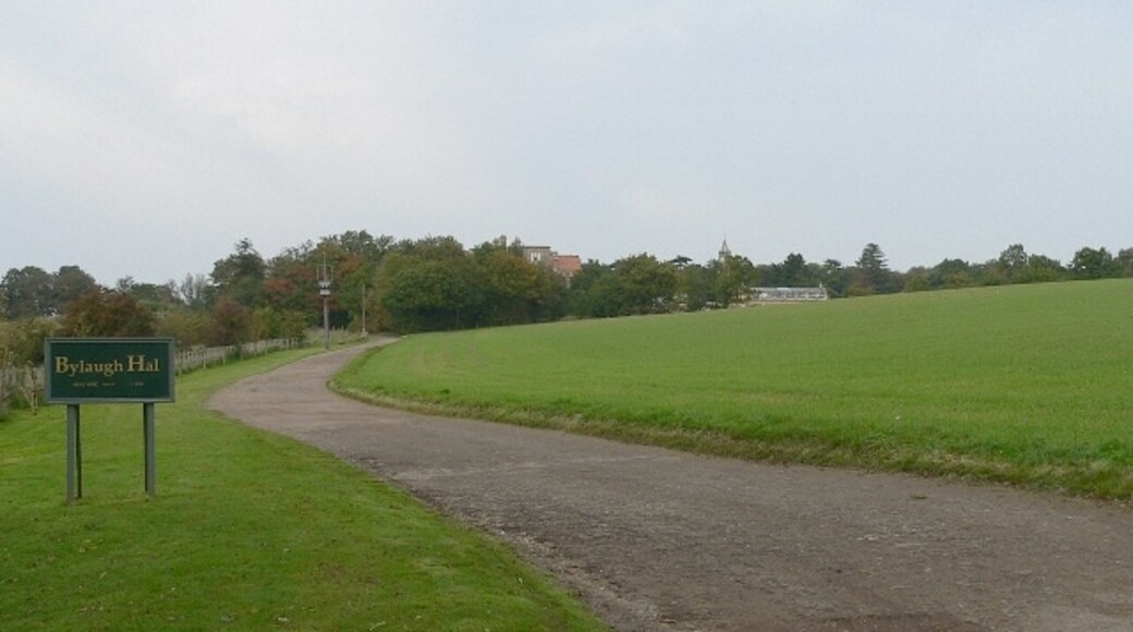 "Bylaugh"-foto av Roger Gilbertson (CC BY-SA) / Urklipp från original