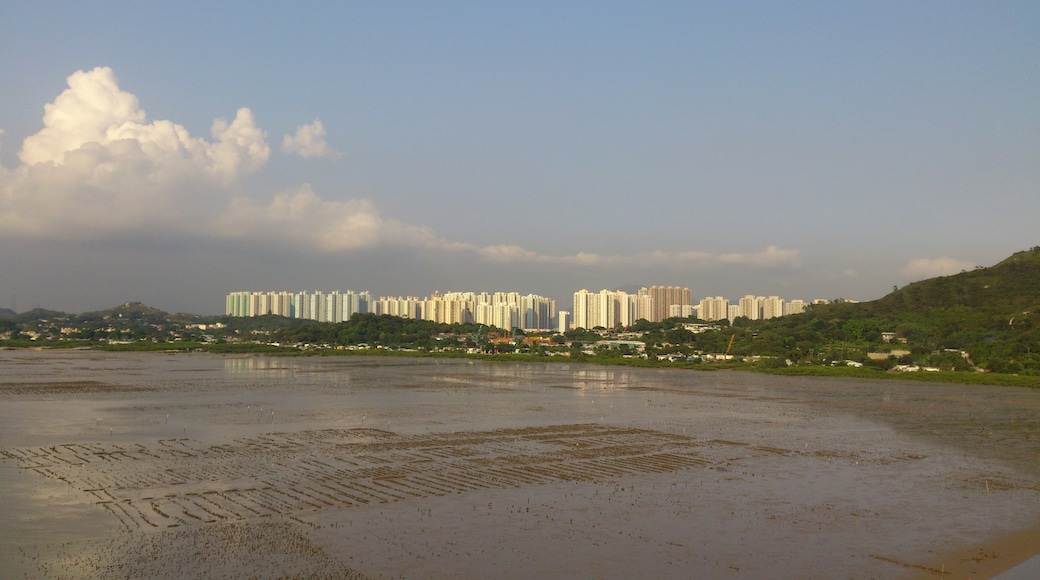 Foto „Shenzhen Bay“ von ken93110 (CC BY-SA)/zugeschnittenes Original