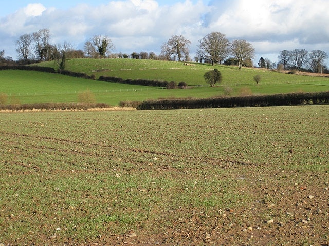 Unnamed hill southeast of Burghill Viewed from the adjoining square.