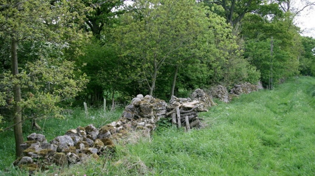 "Markenfield Hall"-foto av David Rogers (CC BY-SA) / Urklipp från original