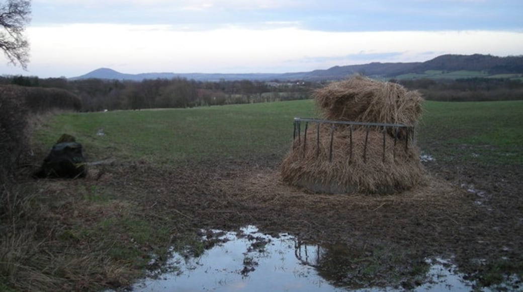 Photo "Rushbury" by Row17 (CC BY-SA) / Cropped from original