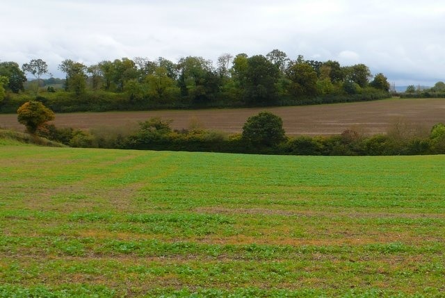 Countryside nearStalbridge Looking south towards Church Close from the park wall due south of the Dairy House