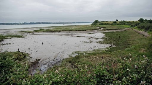 Photo "Manningtree" by Glyn Baker (CC BY-SA) / Cropped from original