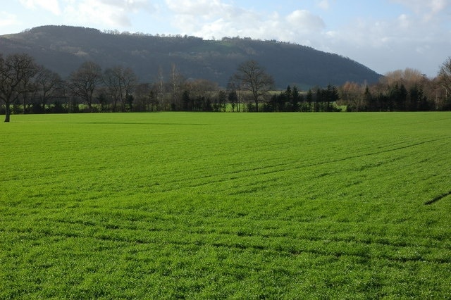 Farmland at Letton The hill in the background is Bredwardine Hill.