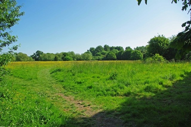 Hay Meadow. This meadow in 1319931 is traditionally managed by Essex Wildlife Trust. To learn more about the reserve go to http://www.essexwt.org.uk/visitor_centres__nature_reserves/roding_valley_meadows/