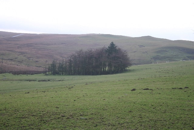 Kuva ”Boltons” käyttäjältä Bob Jenkins (CC BY-SA) / rajattu alkuperäisestä kuvasta