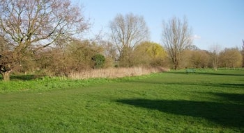 Open Space by Hogsmill Very popular for dog walking and ball games