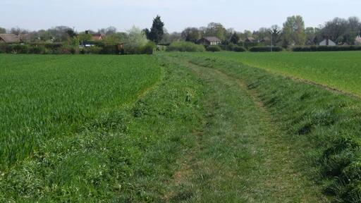 Billede "Rocklands" af Ian Robertson (CC BY-SA) / beskåret fra det originale billede