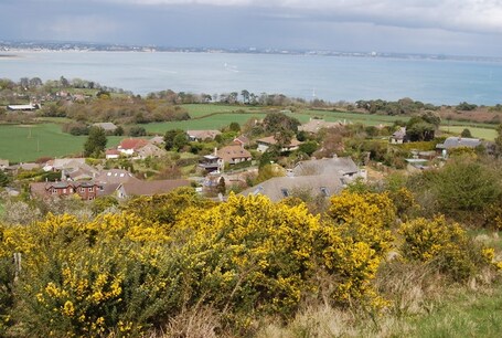 Studland