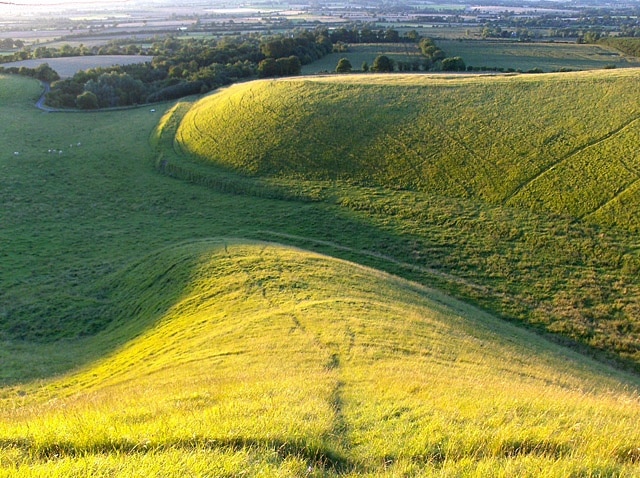 The Manger Looking across the combe near its upper end during late evening sunshine.