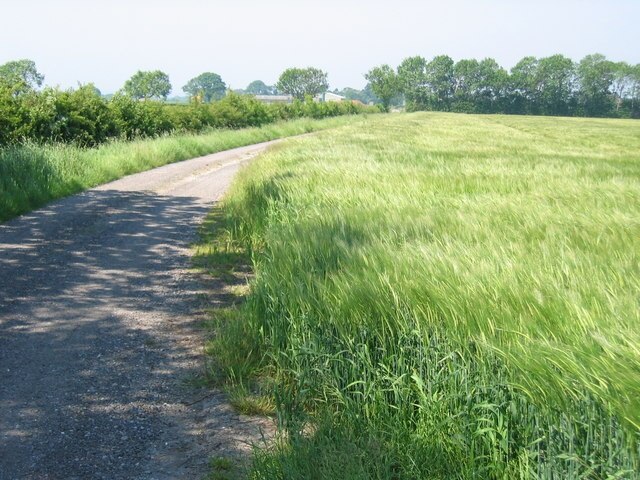 Photo "Marishes" by Stephen Horncastle (CC BY-SA) / Cropped from original