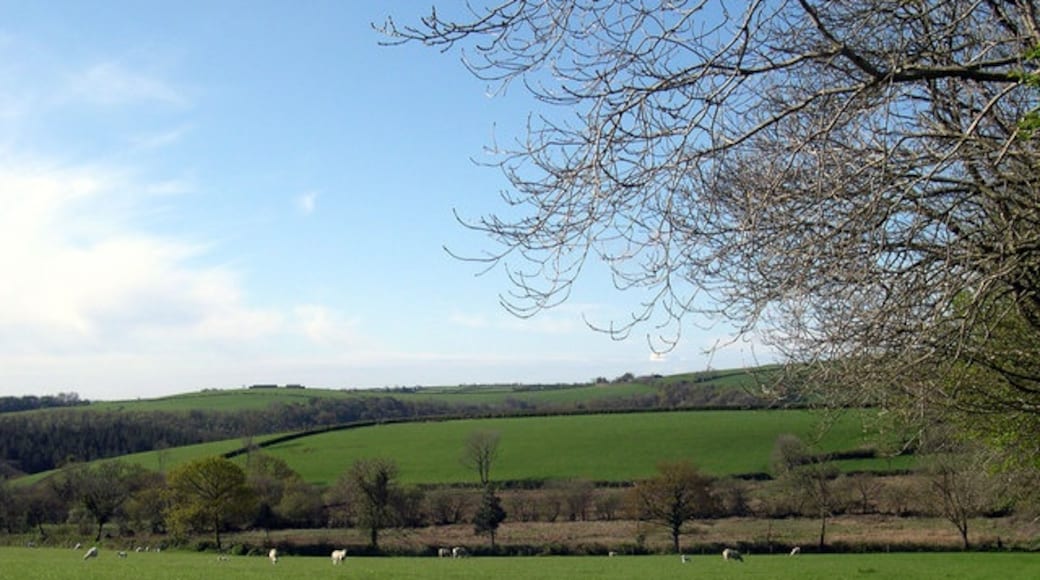 Photo "Llanpumsaint" by John Duckfield (CC BY-SA) / Cropped from original