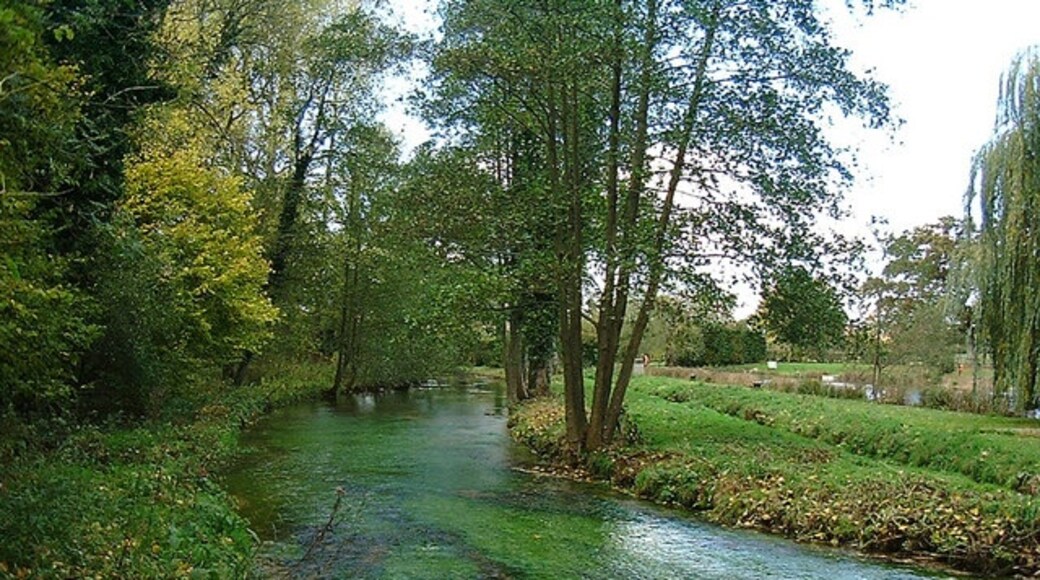 Foto ‘River Test’ van Chris Talbot (CC BY-SA) / bijgesneden versie van origineel