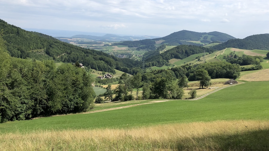 Photo "de:Salhöhe, Blick nach Norden" by Parpan05 (Creative Commons Attribution 3.0) / Cropped from original