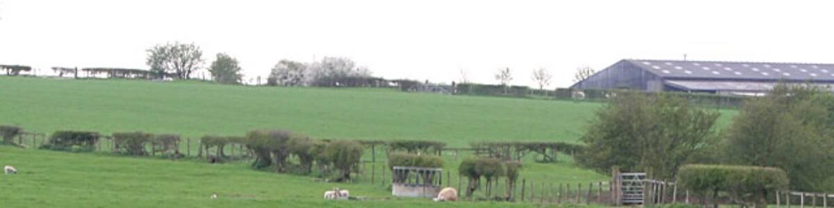 Photo "Farmland off Occupation Lane, Willoughby Lambs in Leicestershire, photographer in Nottinghamshire, the boundary follows the stream." by Kate Jewell (Creative Commons Attribution-Share Alike 2.0) / Cropped from original