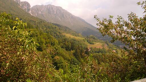 Photo "Lodrino" by paolo dagani (CC BY) / Cropped from original