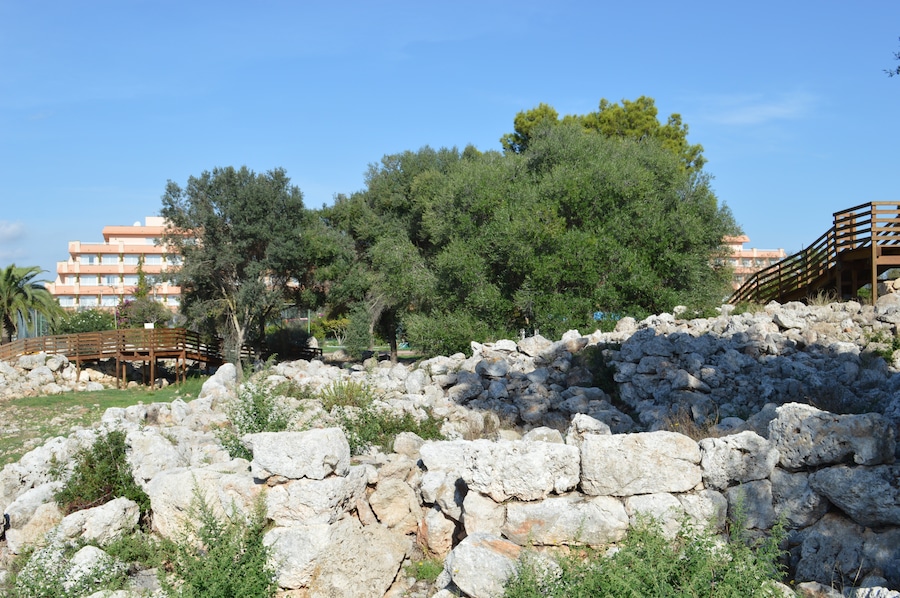 Mallorca 2014
