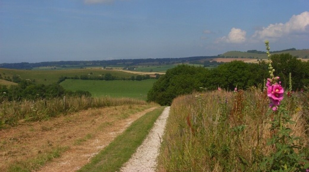 Foto "Kilmington" por Andrew Smith (CC BY-SA) / Recortada de la original