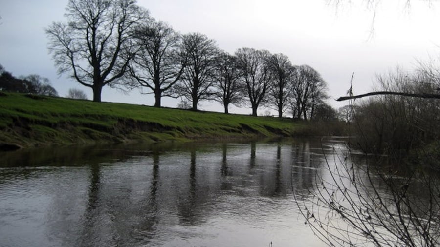 Photo "River Swale South of Maunby The Swale is such a beautiful river further upstream, but when it hits the Vale of York it loses all its charm - here it reminded me of a floating oil slick" by Chris Heaton (Creative Commons Attribution-Share Alike 2.0) / Cropped from original