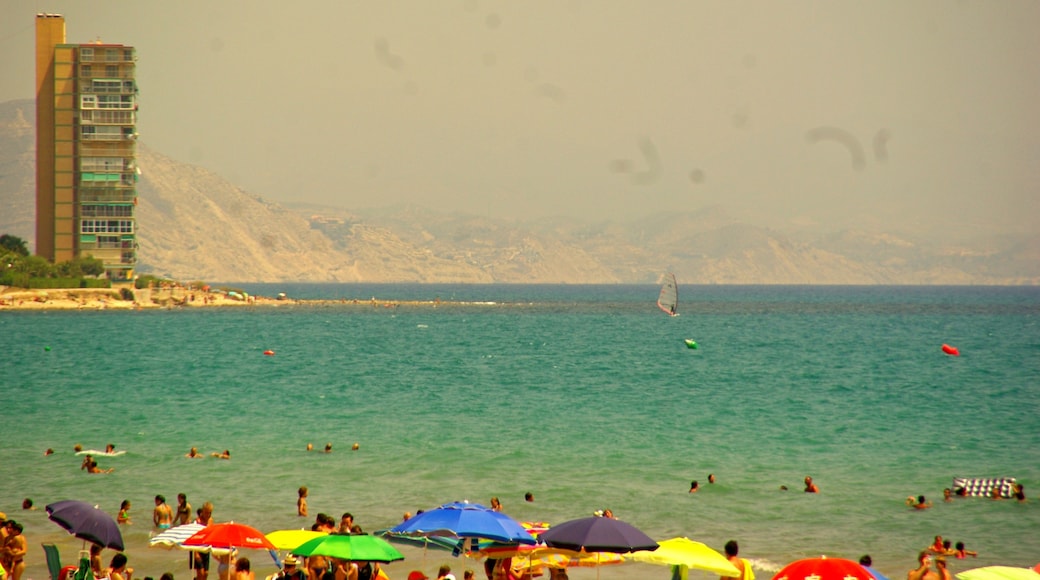 Foto "Playa de San Juan" de Concepcion AMAT ORTA… (CC BY) / Recortada de la original