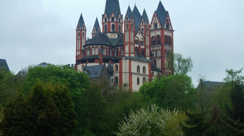 "Limburgs katedral"-foto av qwesy qwesy (CC BY) / Urklipp från original