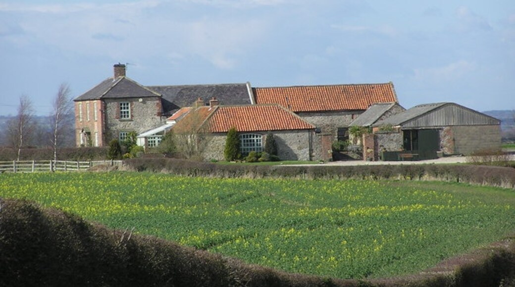 Kuva ”Barton” käyttäjältä Hugh Mortimer (CC BY-SA) / rajattu alkuperäisestä kuvasta